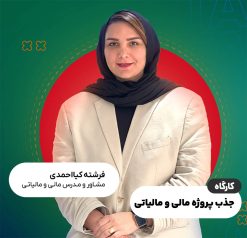 کارگاه جذب پروژه های مالی و مالیاتی